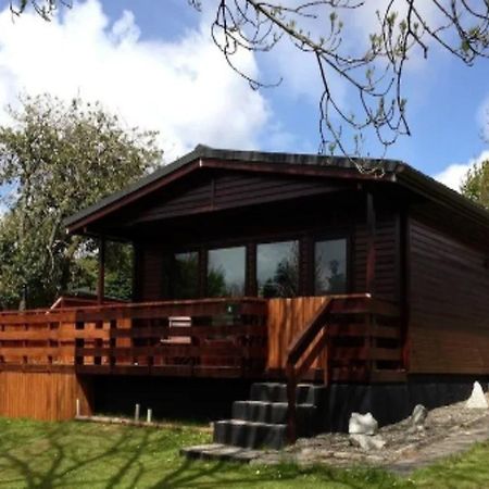 Primrose Lodge 4 With Hot Tub Newton Stewart Exterior photo